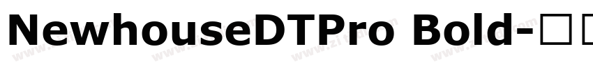 NewhouseDTPro Bold字体转换